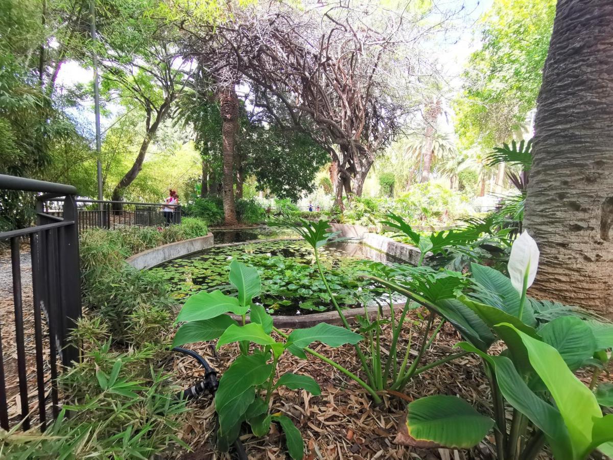Home2Book Charming Center Apartment Santa Cruz Екстер'єр фото